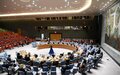 UN Special Coordinator Briefs the Security Council on Implementation of Resolution 1701 